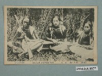 藏品(赤岡兄弟商會發行臺灣來吉社頭目)的圖片