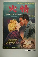 藏品(《情火》電影海報)的圖片