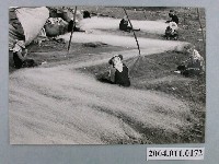 藏品(何懷東攝「補網場即景」)的圖片