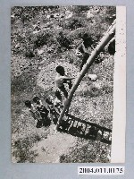 藏品(何懷東攝影作品「你上我跟」)的圖片