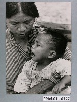 藏品(何懷東攝影作品「傷心淚」)的圖片