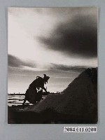 藏品(何懷東拍攝「鹽田即景」)的圖片