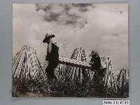 藏品(何懷東攝「晒木場側景」)的圖片