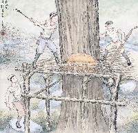 藏品(黃金田繪《砍大樹兼顧保水土》)的圖片