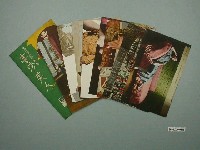 藏品(生蕃屋出版臺灣美女明信片)的圖片