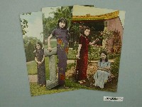 藏品(臺灣美女)的圖片