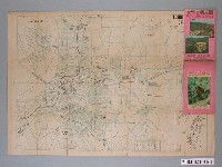 藏品(國際文化服務社〈一百五十萬分一臺灣省觀光地圖〉)的圖片