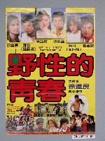 藏品(《野性的青春》電影海報)的圖片