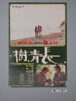 藏品(《長青樹》電影海報)的圖片