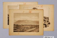 藏品(臺灣主題照片組)的圖片