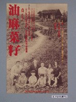 藏品(油麻菜籽之海報)的圖片