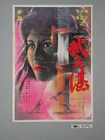 藏品(《武之湛》電影海報)的圖片