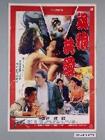 藏品(《與狼共愛》電影海報)的圖片