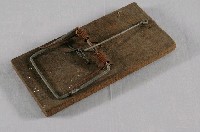 藏品(木製夾鼠板)的圖片