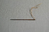 藏品(鐵製縫針)的圖片