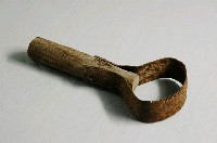 藏品(牛蚤梳)的圖片