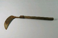 藏品(鐮刀)的圖片