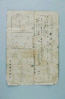 藏品(牛籍抄本)的圖片