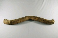 藏品(牛擔)的圖片