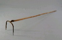 藏品(二齒耙)的圖片
