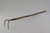 藏品(二齒耙)的圖片