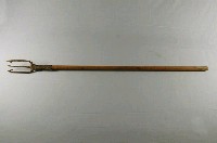 藏品(魚叉)的圖片