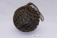 藏品(結網玻璃浮球)的圖片