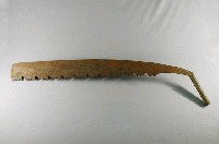 藏品(五齒鉤鋸)的圖片