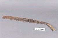 藏品(五齒鉤鋸)的圖片