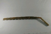 藏品(五齒鉤鋸)的圖片