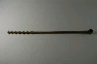 藏品(螺鑽)的圖片