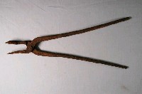藏品(鐵鉗)的圖片