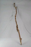 藏品(山豬陷套索)的圖片