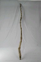 藏品(山豬陷套索)的圖片