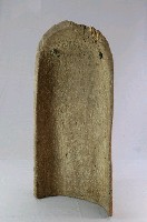 藏品(土拖)的圖片