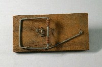 藏品(老鼠夾)的圖片