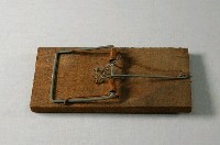 藏品(老鼠夾)的圖片