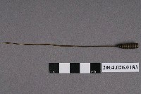 藏品(捲棉棒)的圖片