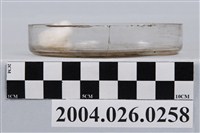 藏品(玻璃培養皿)的圖片