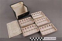 藏品(利魯卡因注射液之包裝與說明書)的圖片