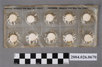 藏品(信東化學工業股份有限公司出品好必臨錠)的圖片