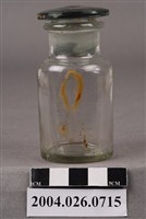 藏品(玻璃瓶)的圖片