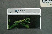 藏品(中華電信7024螳螂電話卡)的圖片
