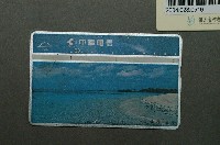 藏品(中華電信7083澎湖白沙電話卡)的圖片