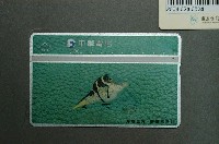 藏品(中華電信7112海底世界橫帶扁背魨電話卡)的圖片
