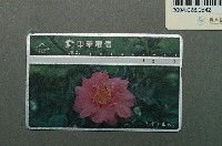 藏品(中華電信8027茶梅山茶電話卡)的圖片