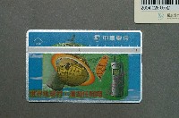 藏品(中華電信8060世界地球村漫遊任翱翔電話卡)的圖片