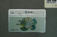 藏品(中華電信8065交趾陶藝角端電話卡)的圖片