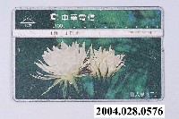藏品(中華電信9029仙人掌二電話卡)的圖片