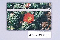 藏品(中華電信9030仙人掌三電話卡)的圖片